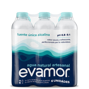 evamor artesian alkaline 32oz X 6 bottled waters