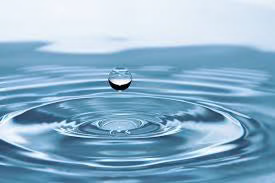 Top brands from the Fine Water Society