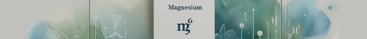 Dive into High Magnesium Bottled Waters!