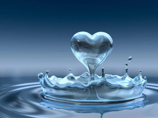  The Essence of Water