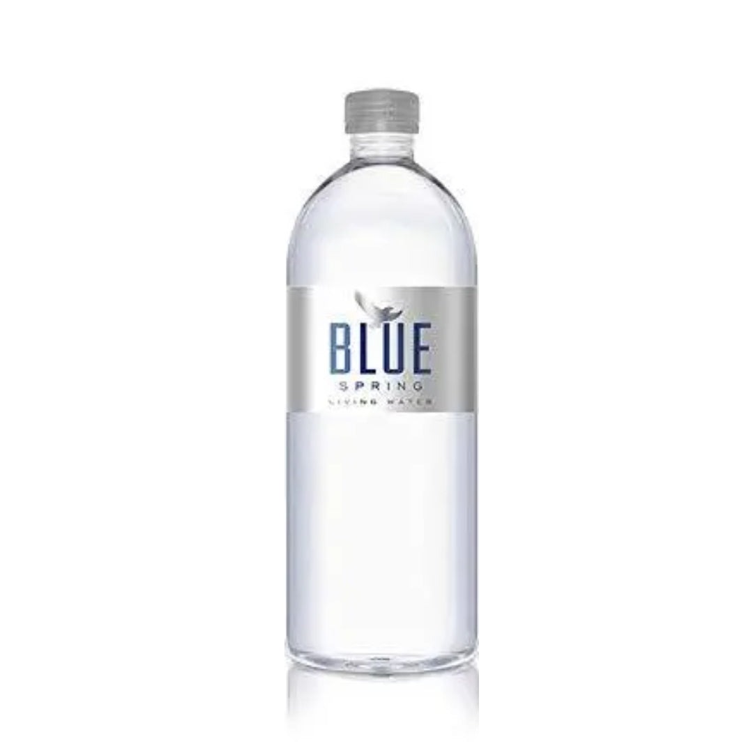 Blue Spring Living Water Natural Spring Bottled Water 16.9oz