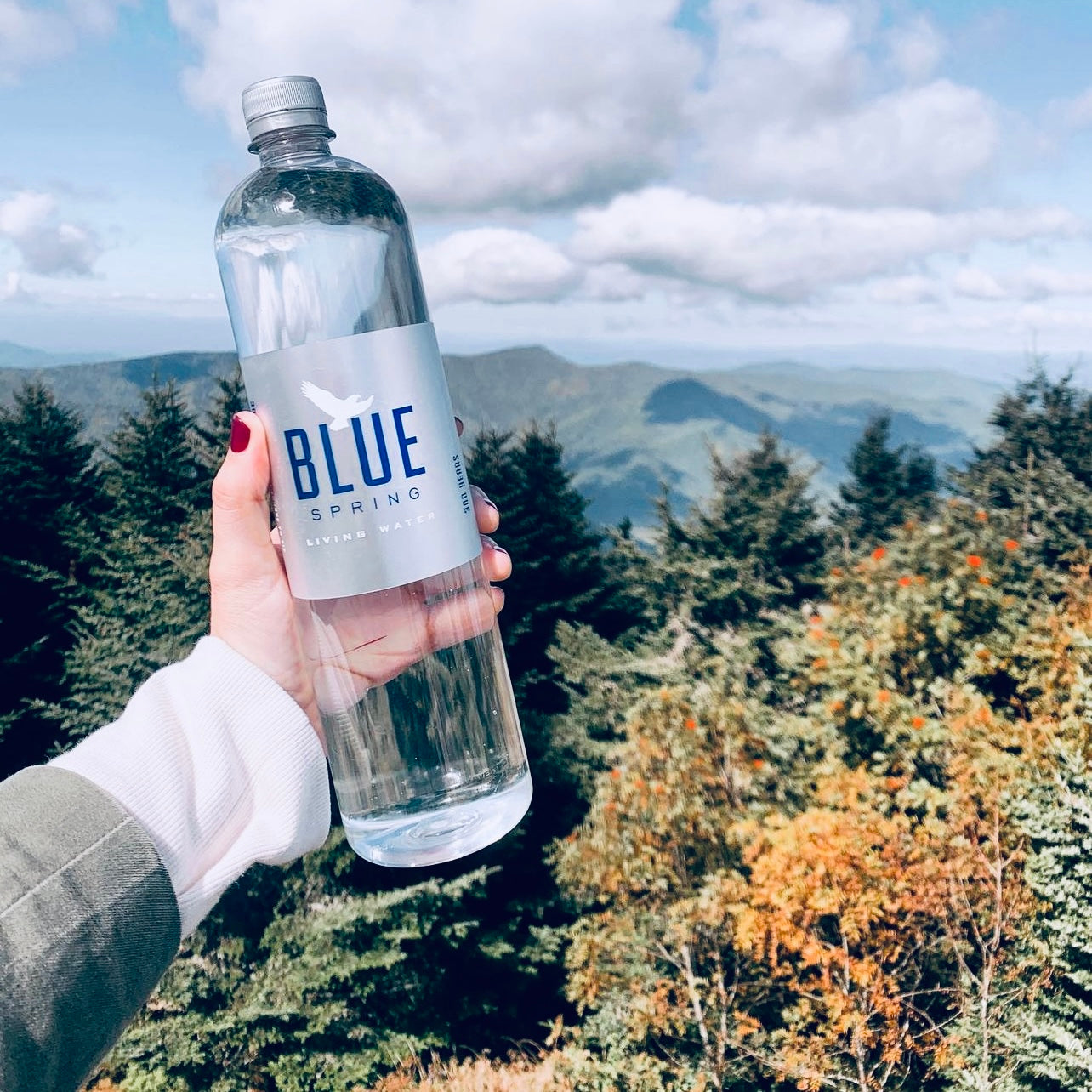 Blue Spring Living Water Natural Spring Bottled Water Hydration