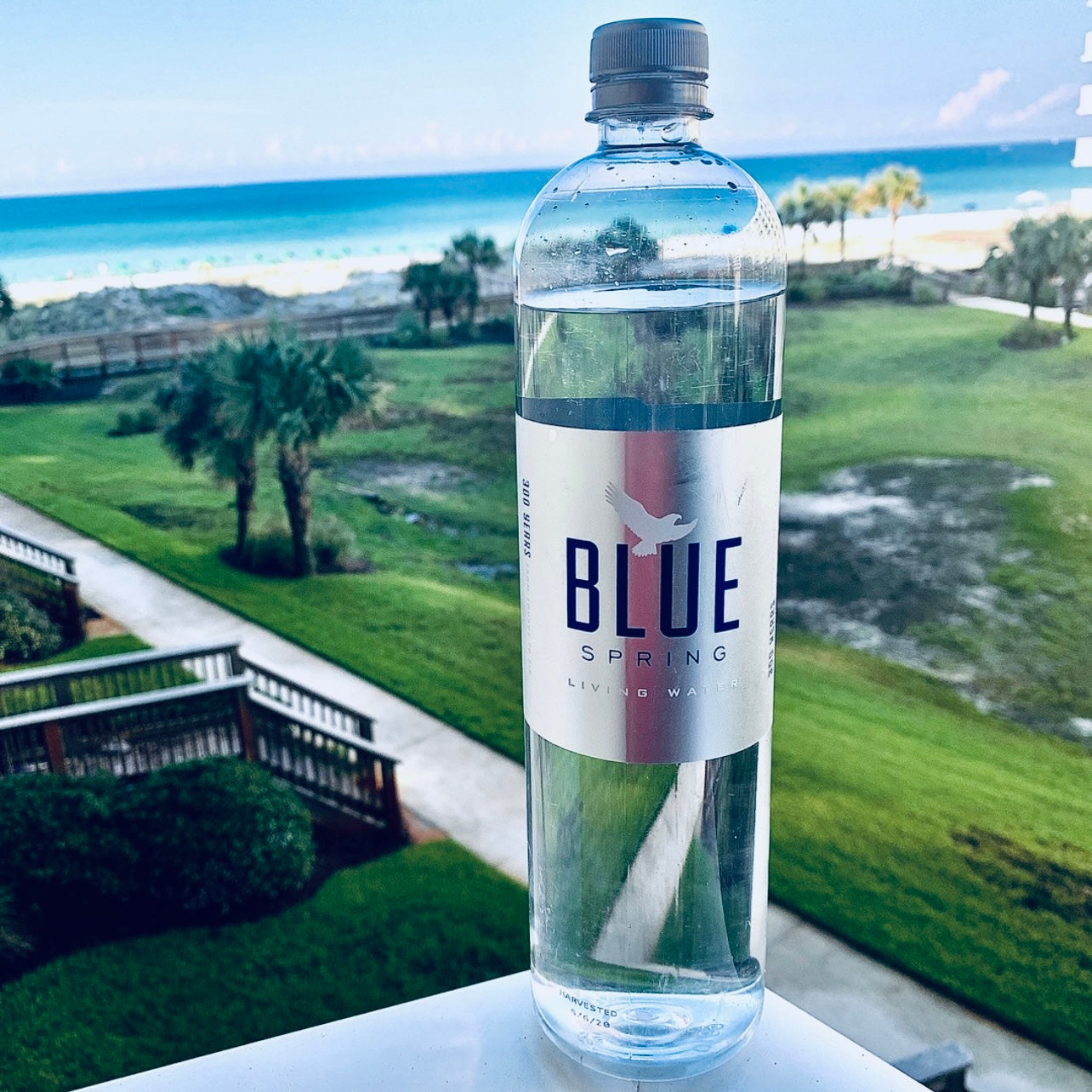 Blue Spring Living Water Natural Spring Bottled Water Proper Hydration