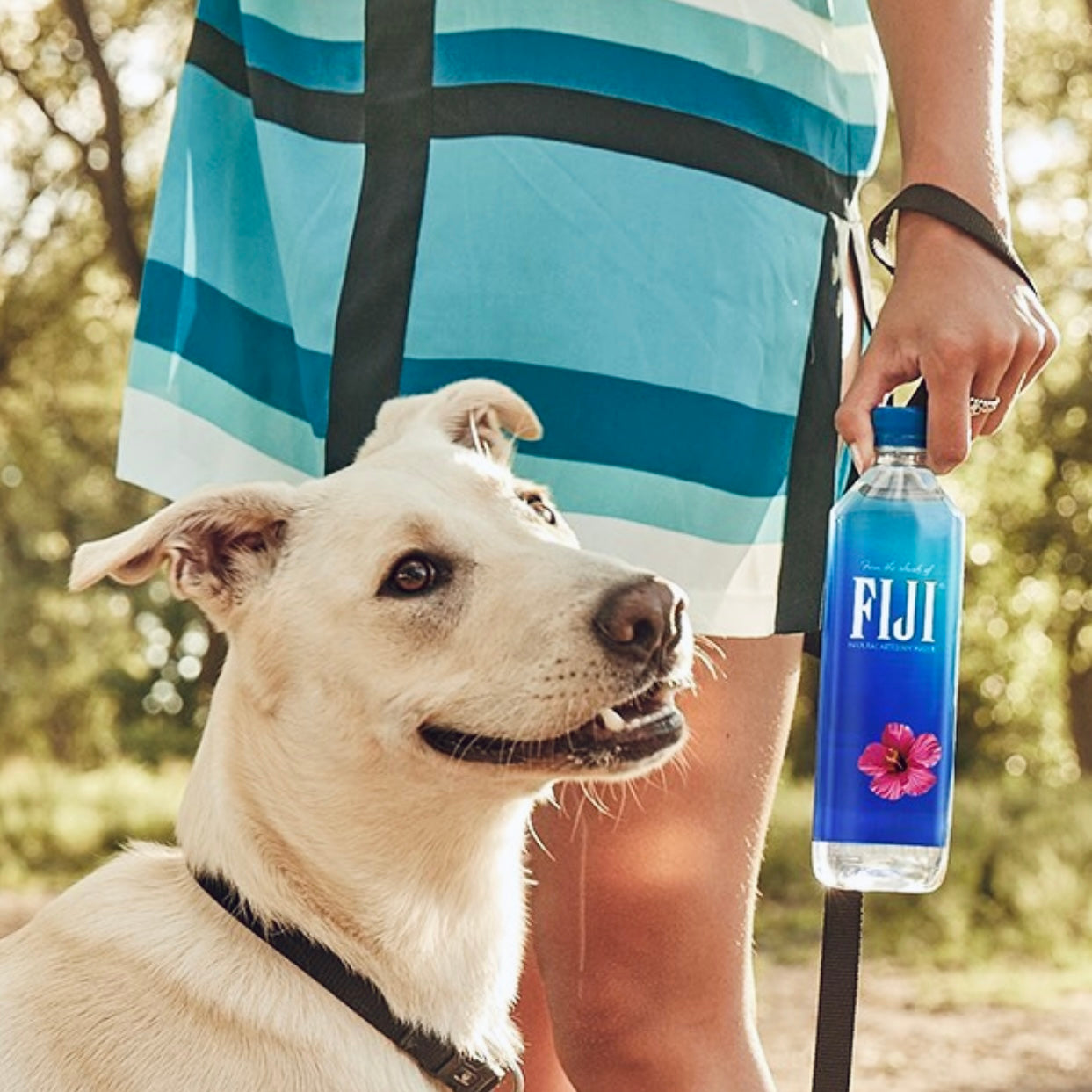 FIJI Water Earth's Finest Water Artesian Bottled Water
