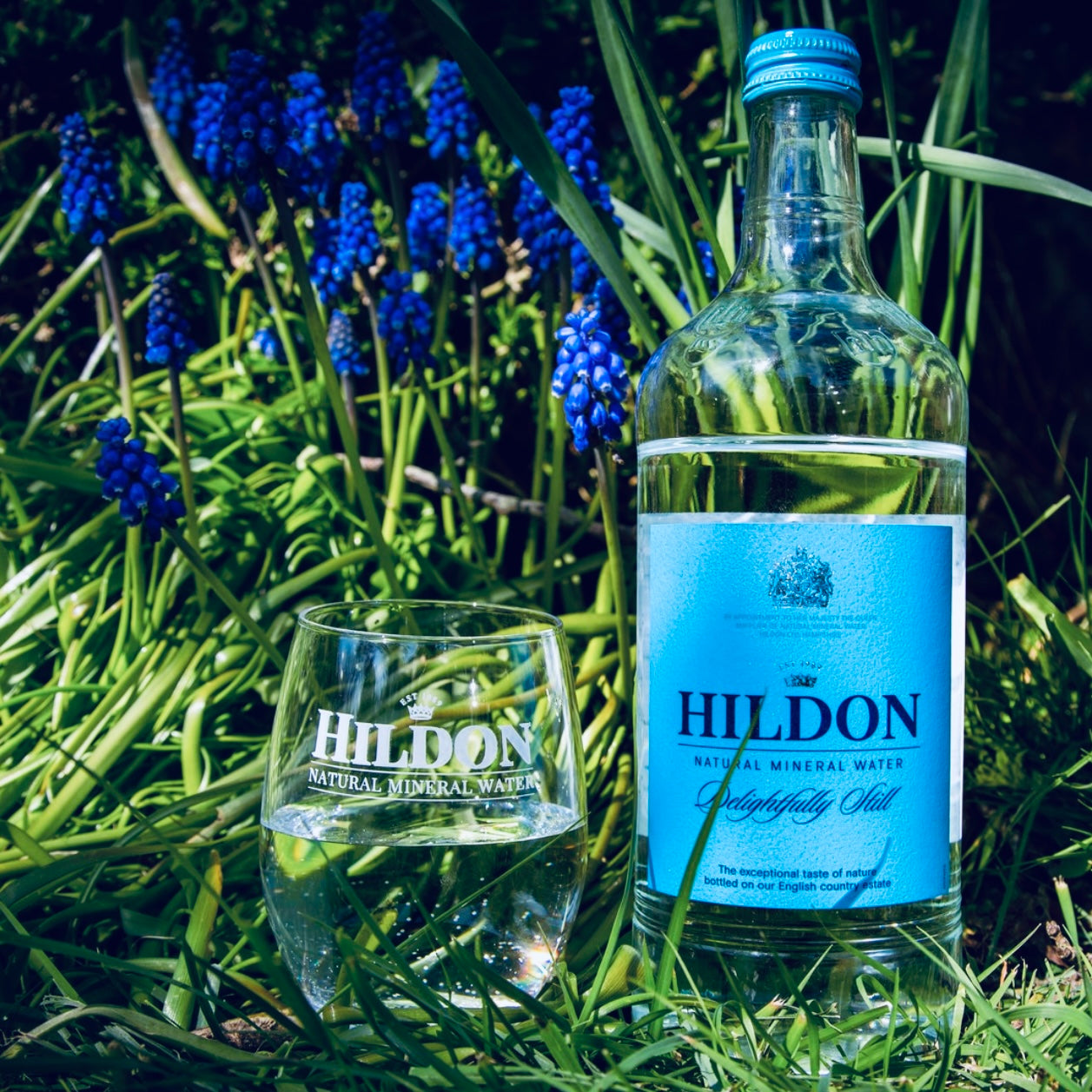 Hildon Natural Mineral Water Essential Minerals