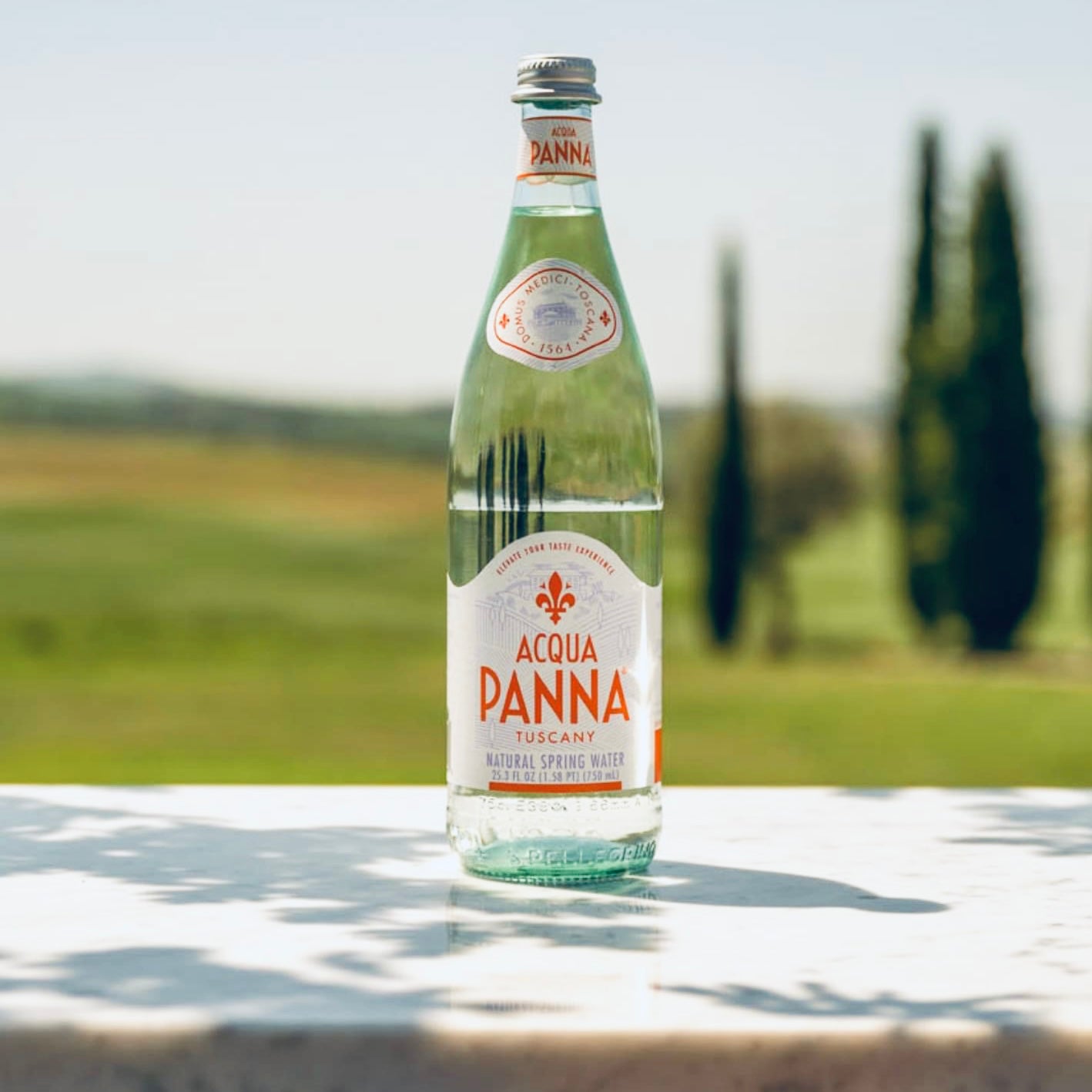 Acqua Panna 750ml - Spring – Salacious Drinks