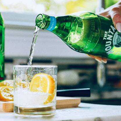Mountain Valley Premium Sparkling Bottled Water 1 L Hydration
