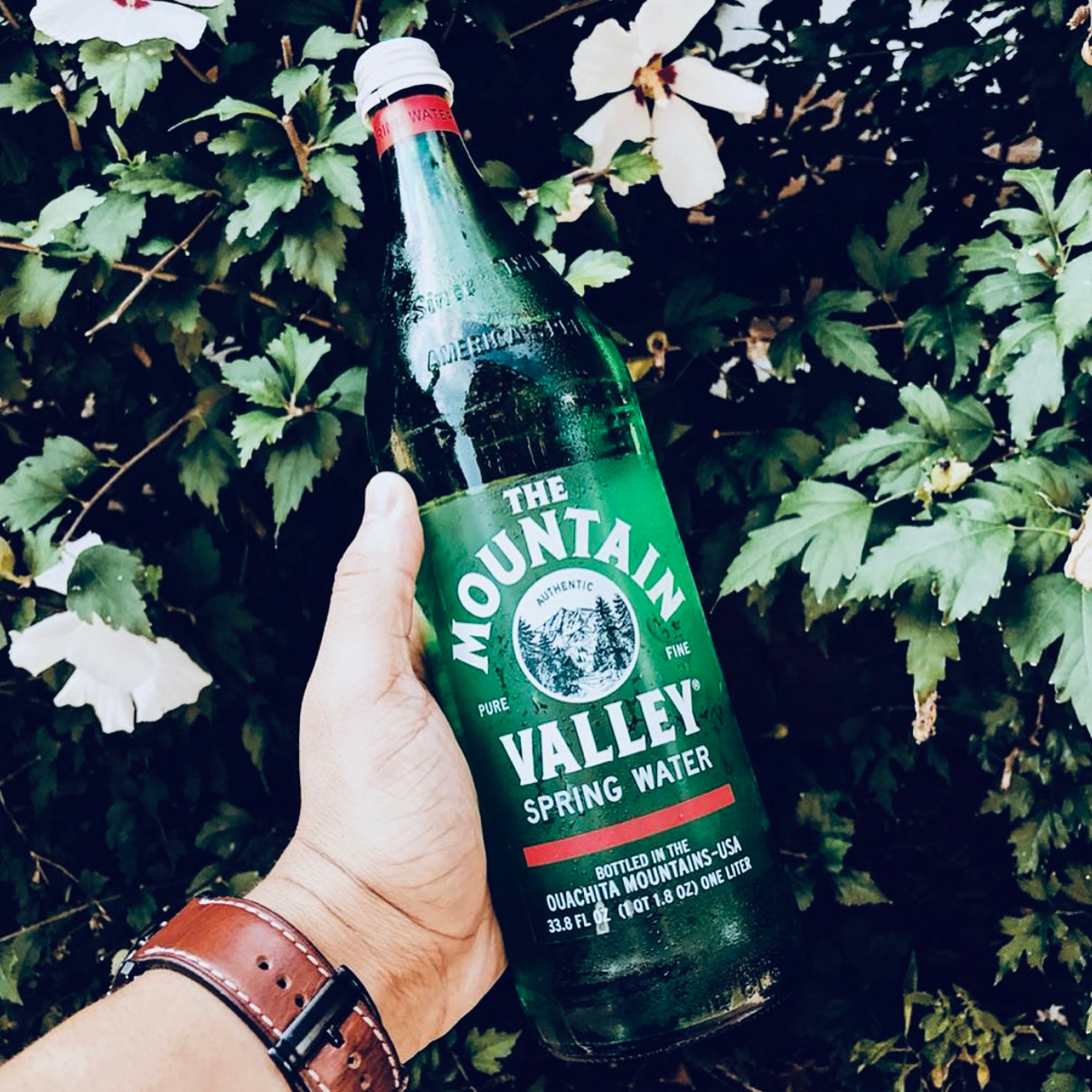 Mountain Valley Premium Spring Bottled Water 1 L Natural Spring