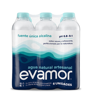 evamor artesian  alkaline  32oz X 6 bottled waters